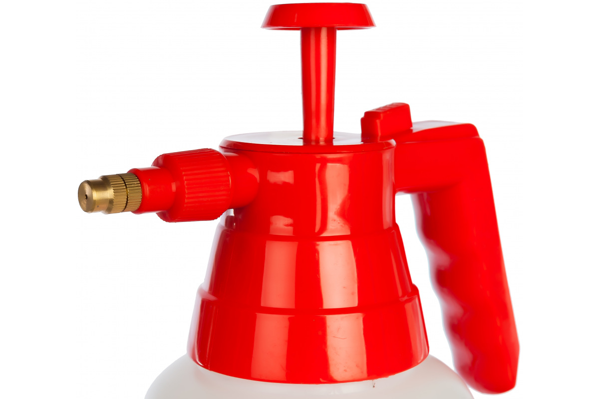 Изображение загружено обработкой