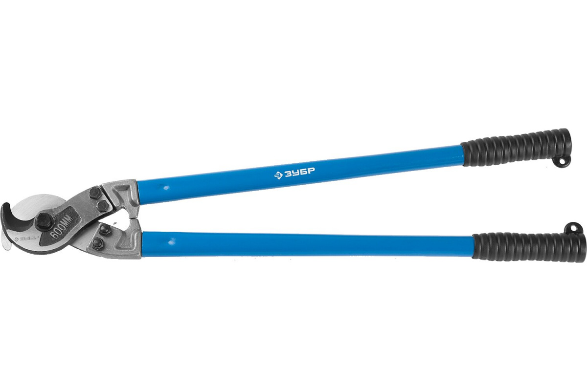 Изображение загружено обработкой