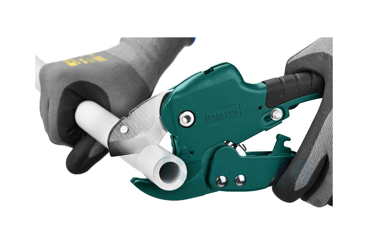 Изображение загружено обработкой