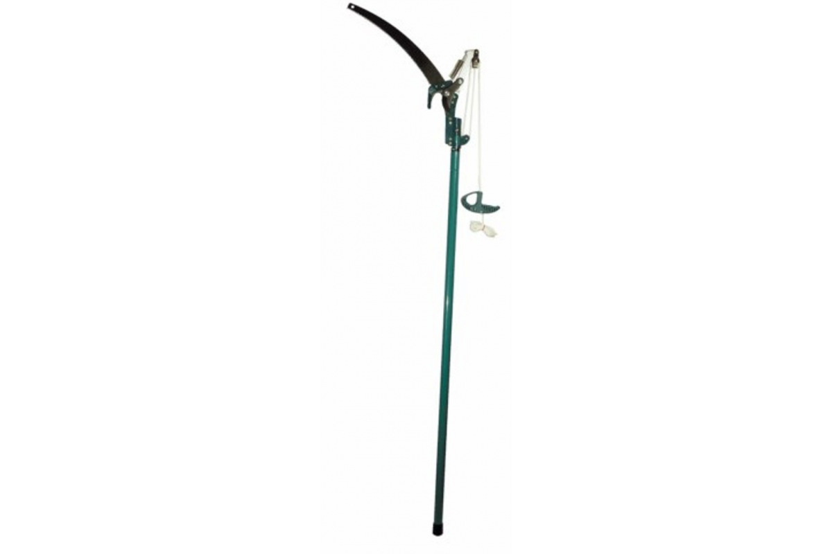 Изображение загружено обработкой