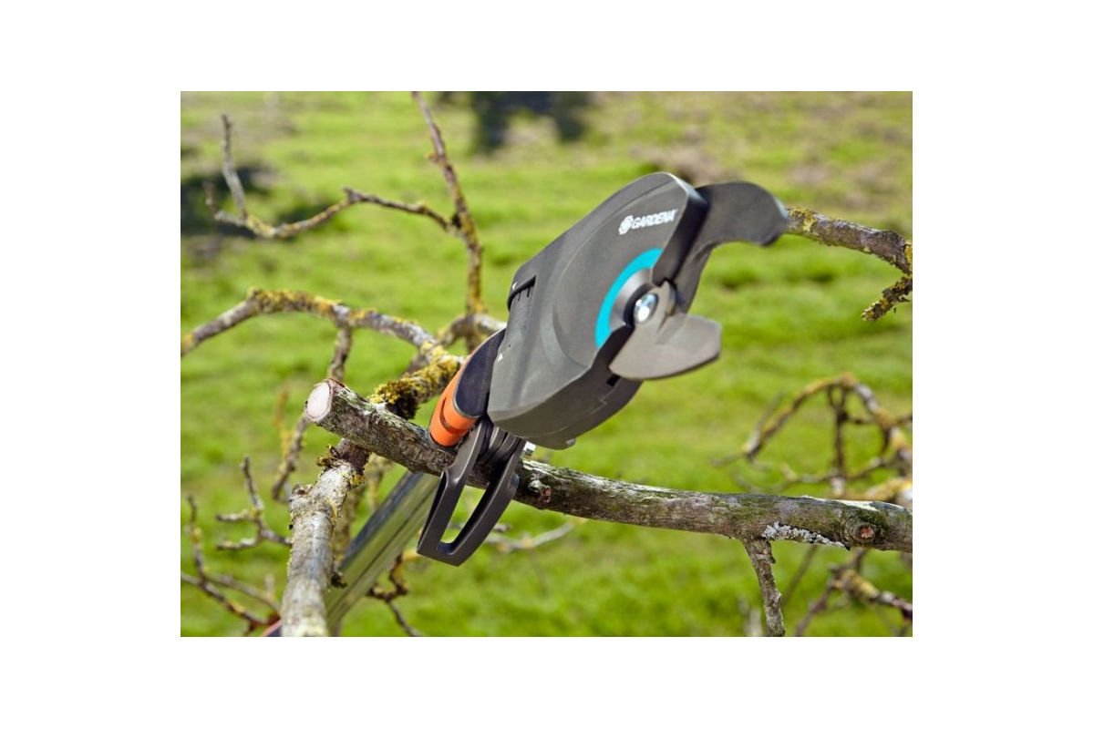 Изображение загружено обработкой