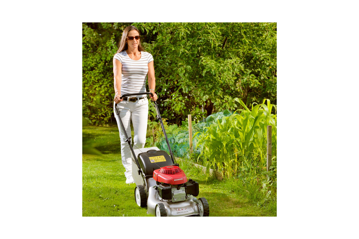 Изображение загружено обработкой