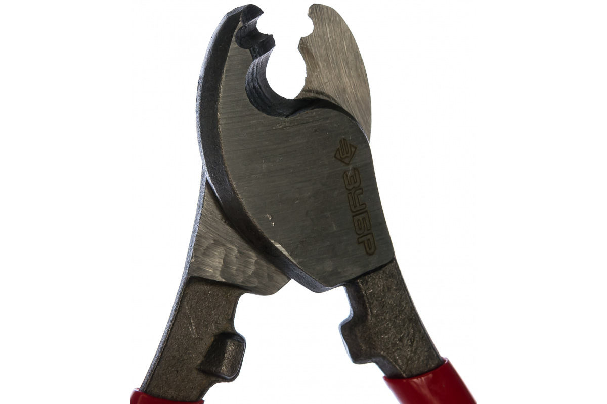 Изображение загружено обработкой