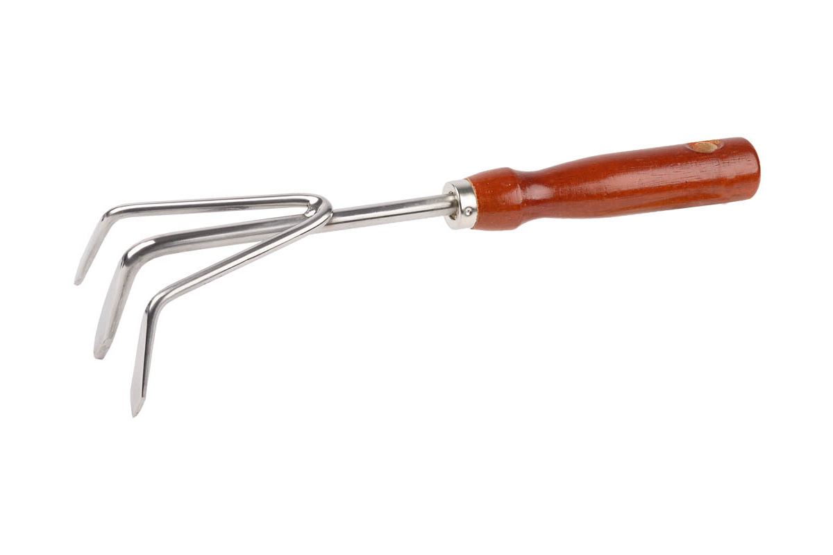 Изображение загружено обработкой