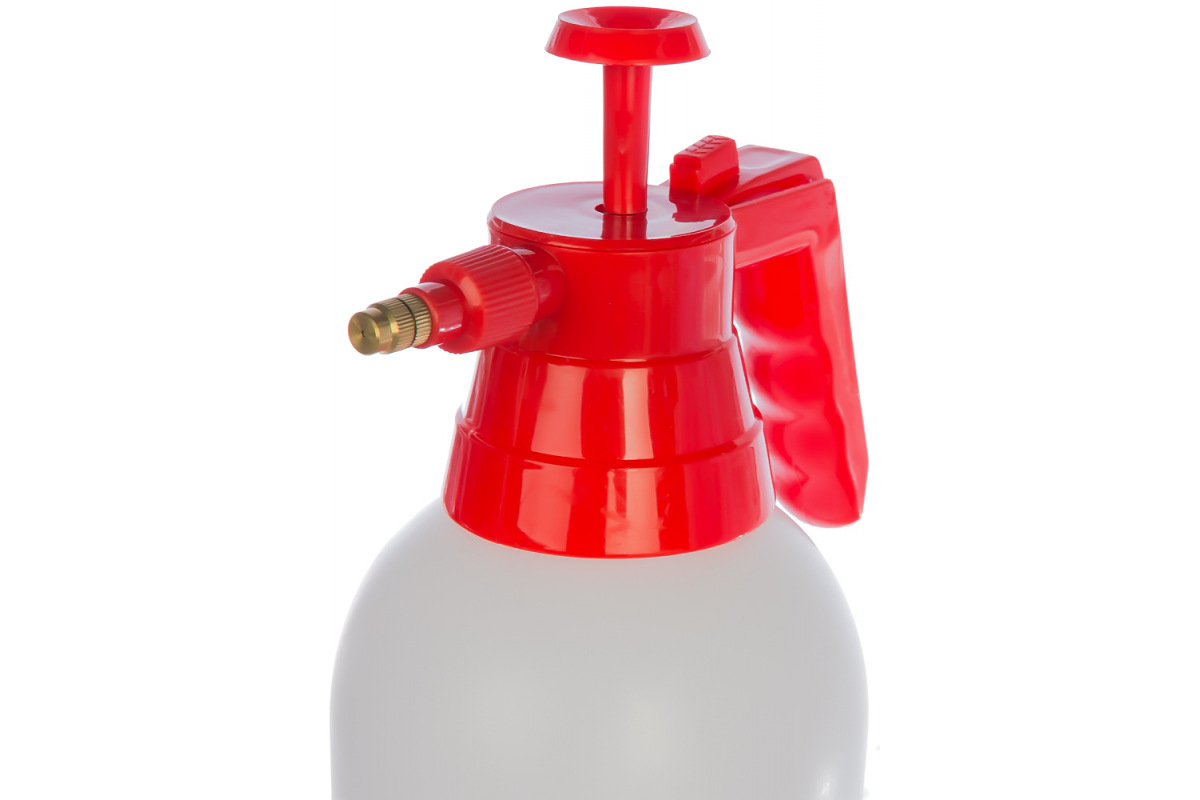 Изображение загружено обработкой