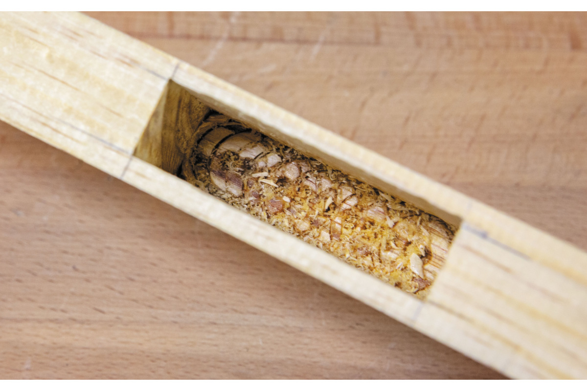 Изображение загружено обработкой