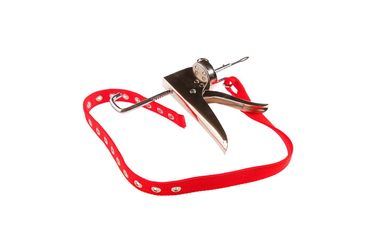 Изображение загружено обработкой