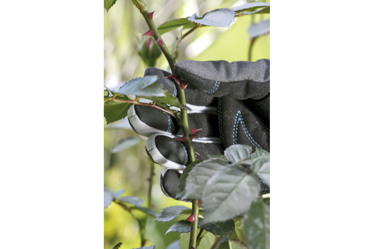 Изображение загружено обработкой