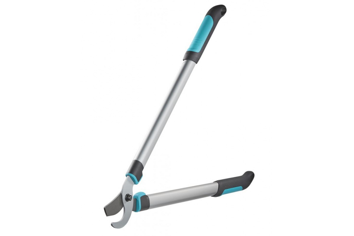 Изображение загружено обработкой