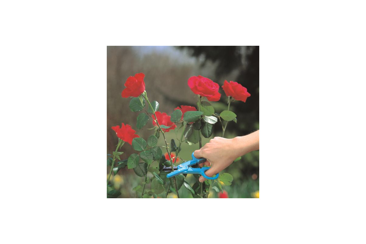 Изображение загружено обработкой