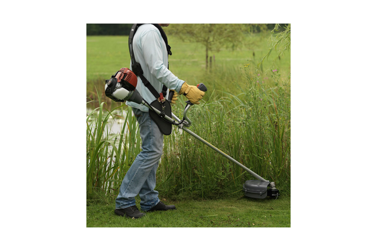 Изображение загружено обработкой