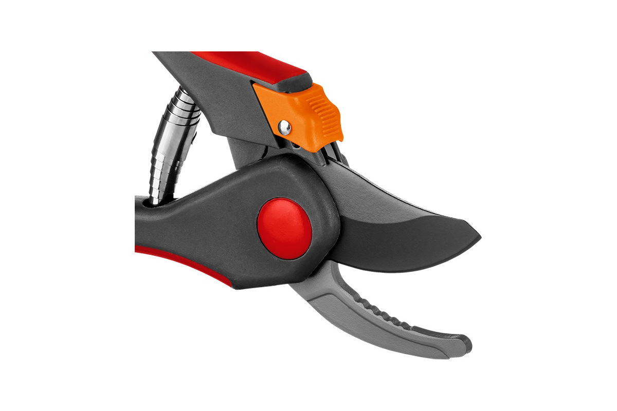 Изображение загружено обработкой