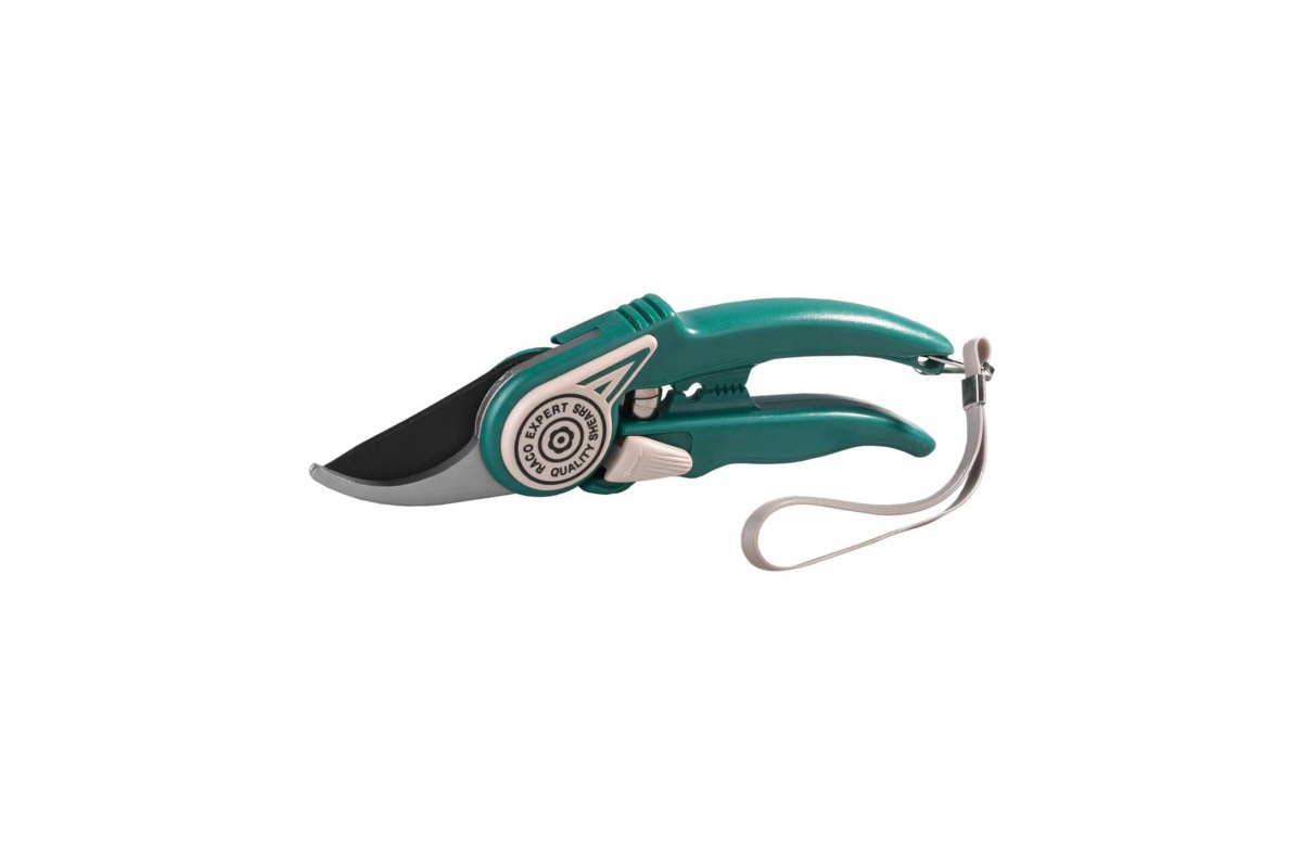 Изображение загружено обработкой