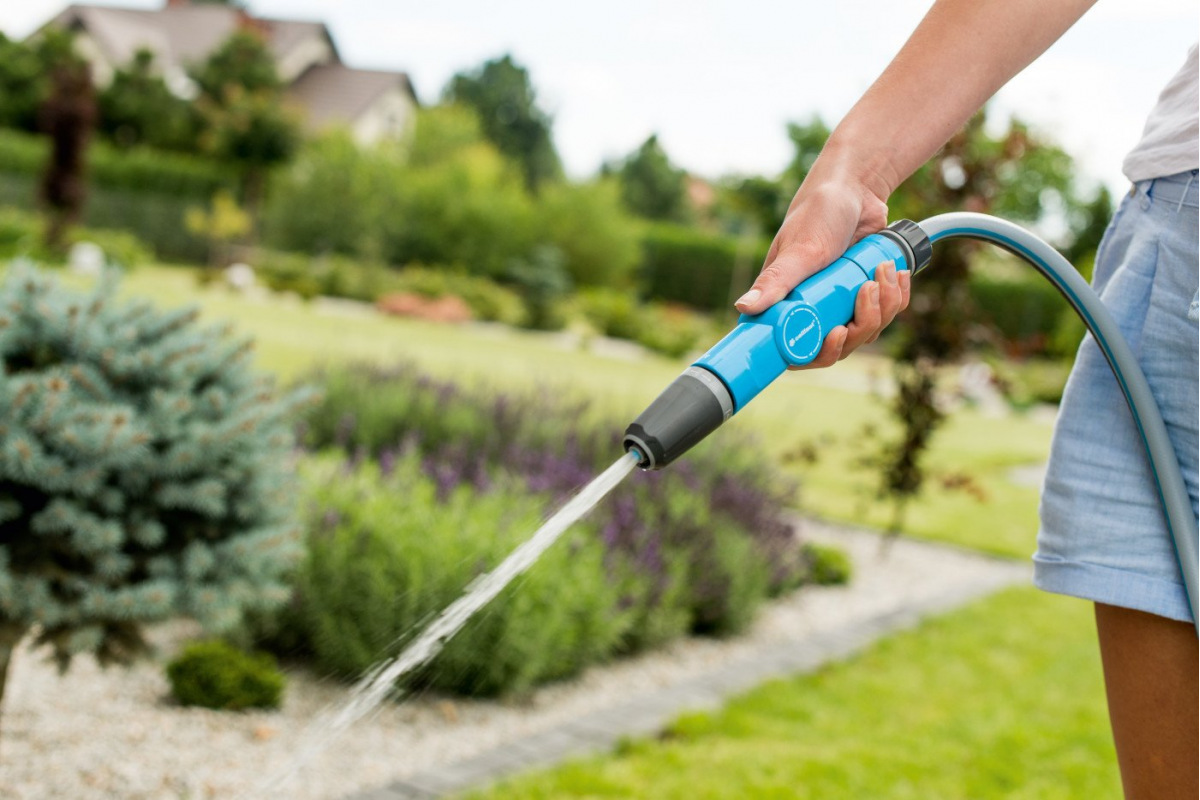 Изображение загружено обработкой