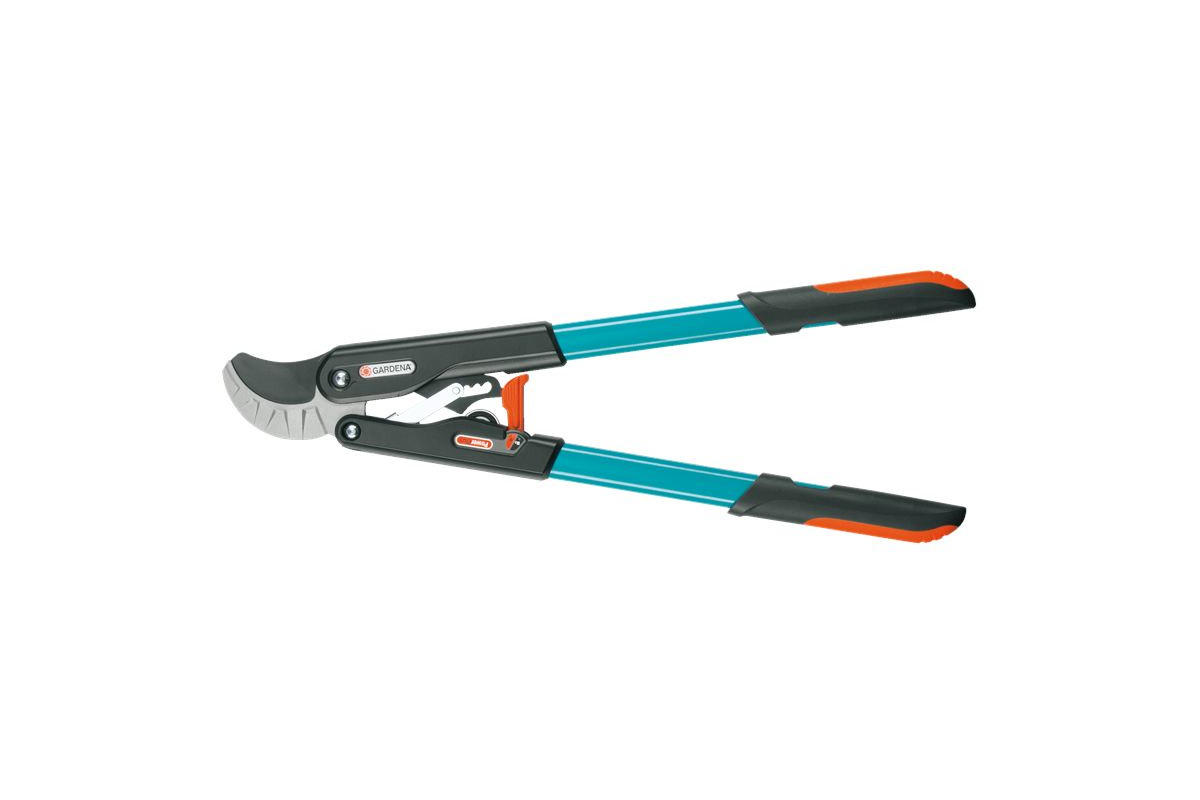 Изображение загружено обработкой