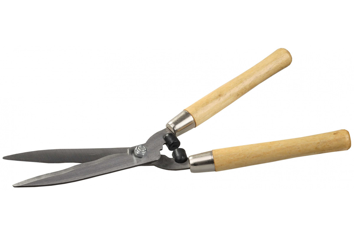 Изображение загружено обработкой