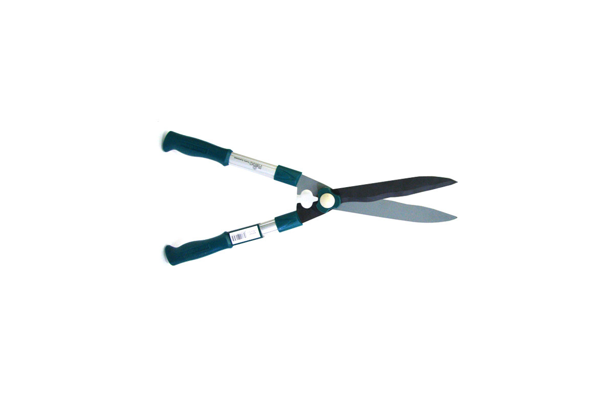 Изображение загружено обработкой