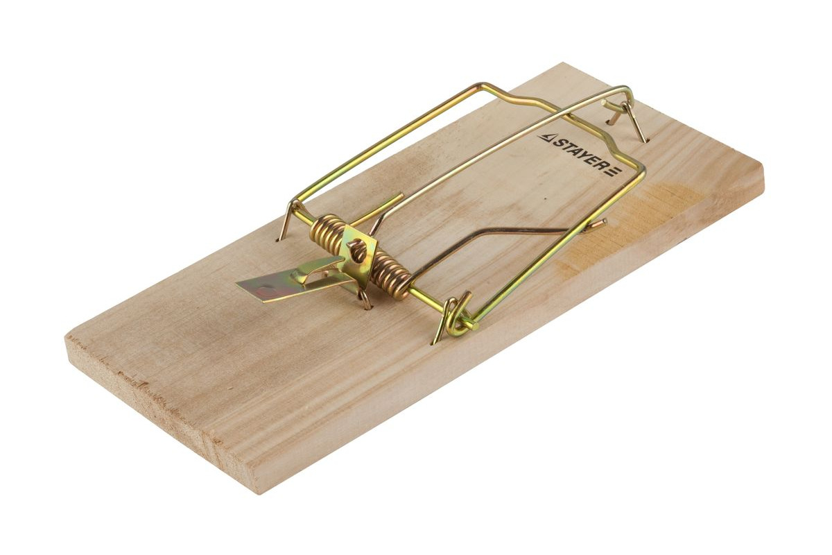 Изображение загружено обработкой