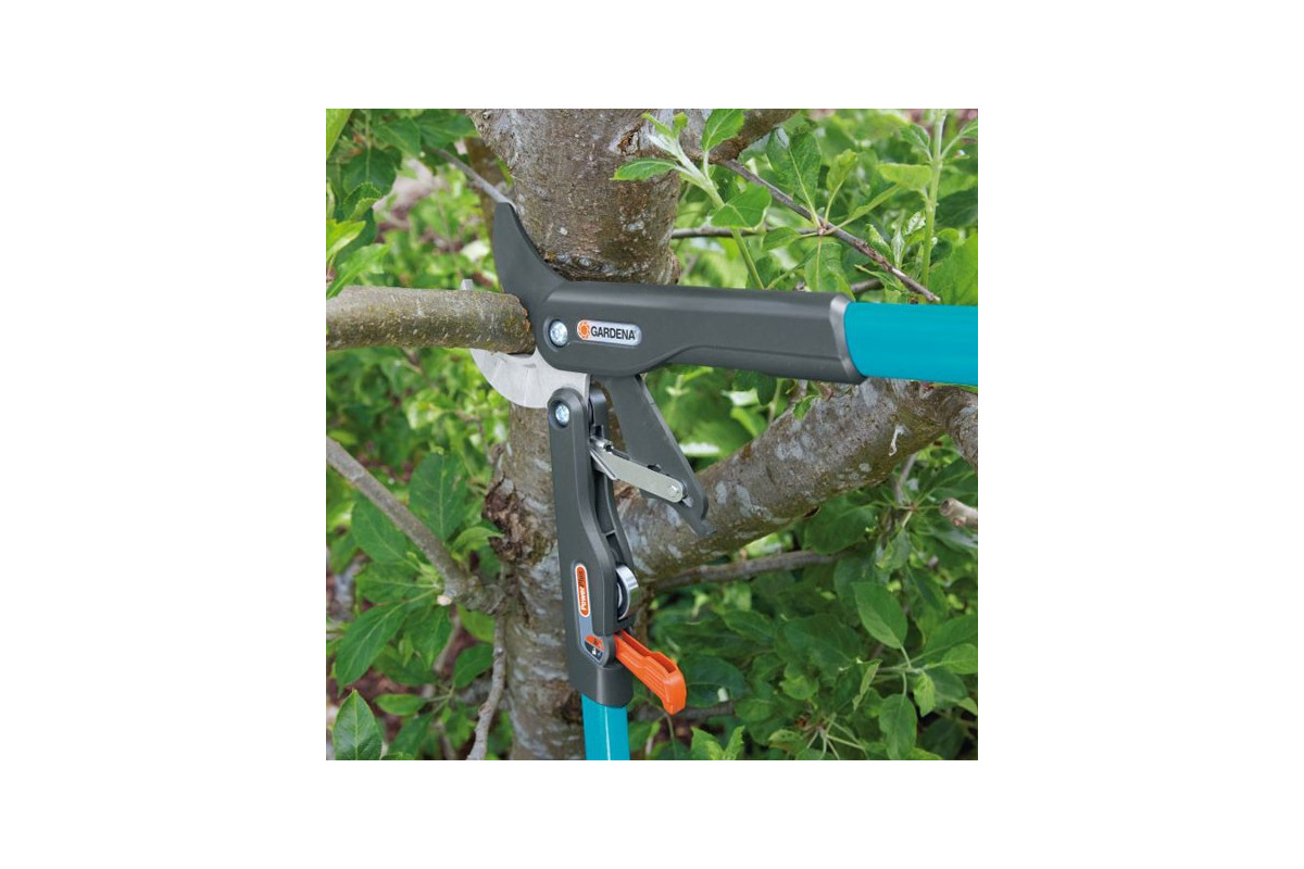 Изображение загружено обработкой