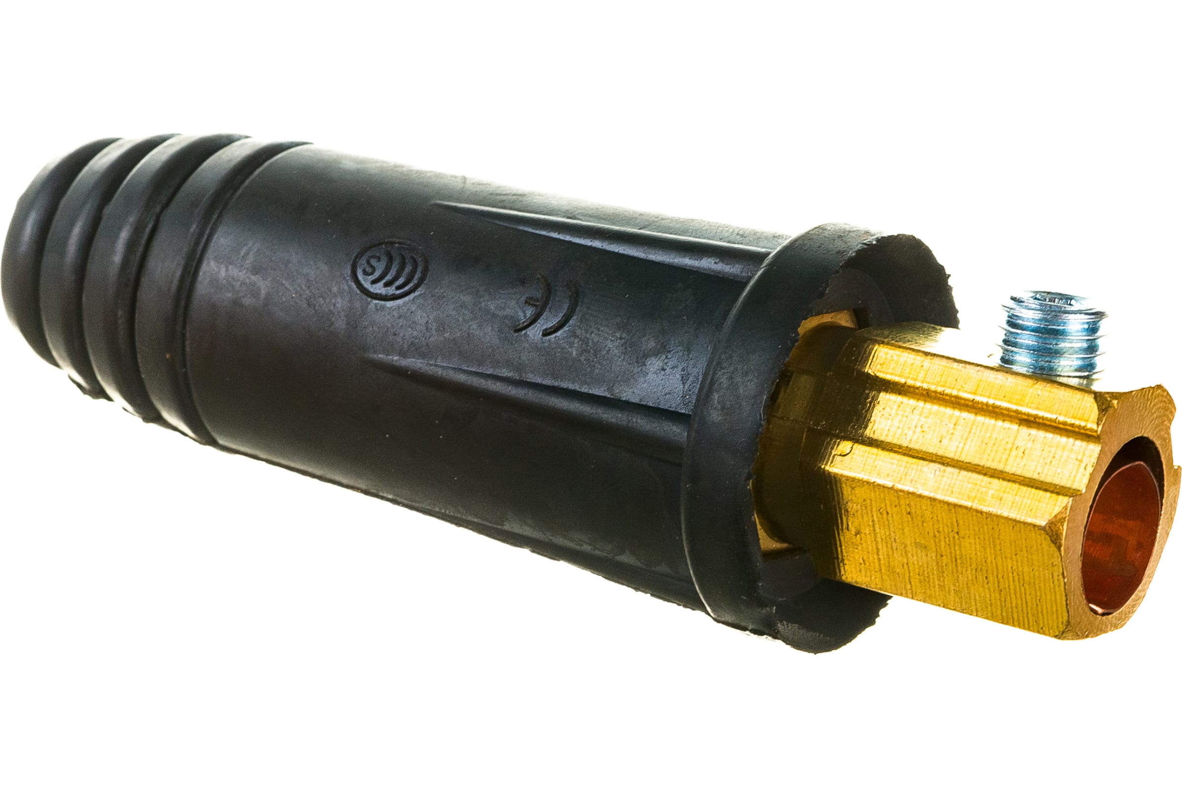 59562006