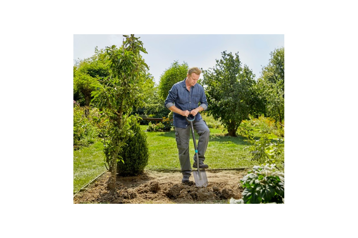 Изображение загружено обработкой