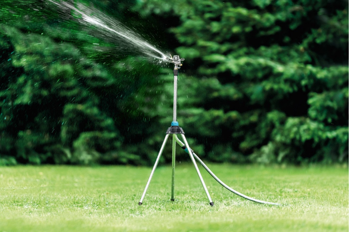 Изображение загружено обработкой