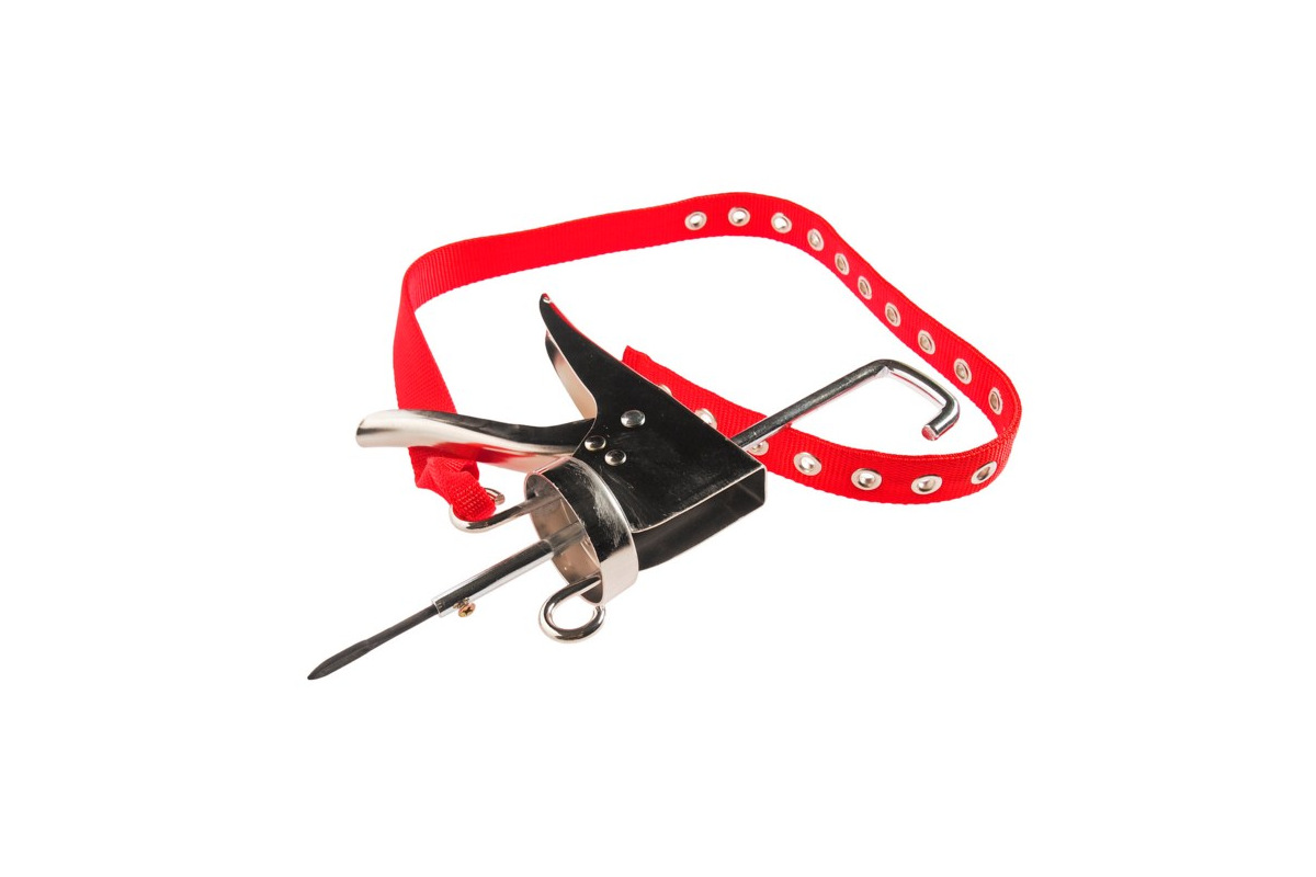 Изображение загружено обработкой