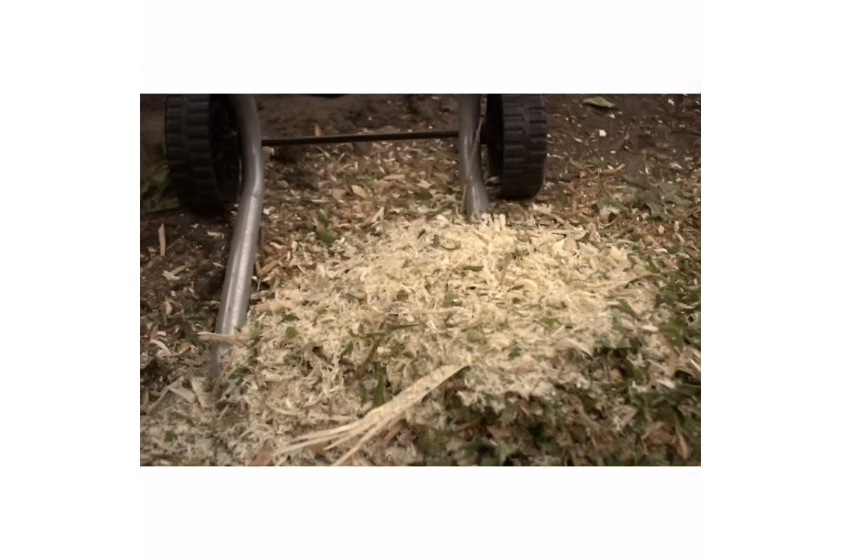 Изображение загружено обработкой