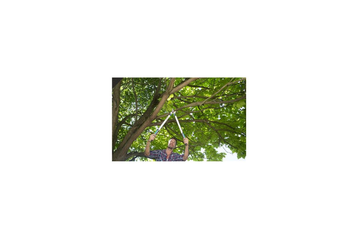 Изображение загружено обработкой