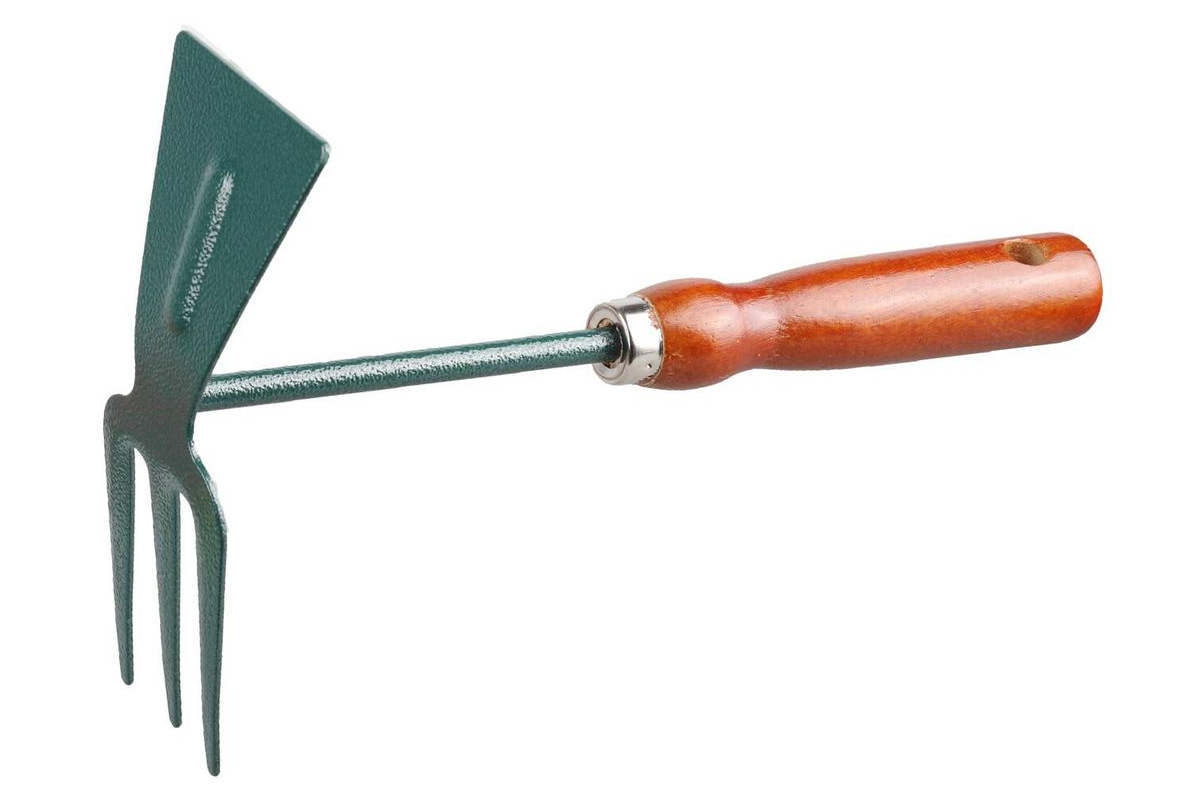 Изображение загружено обработкой