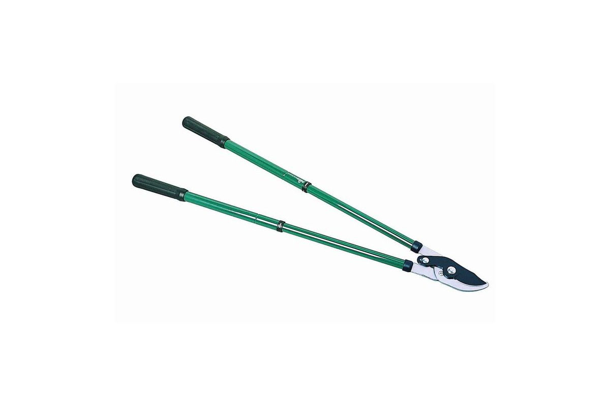 Изображение загружено обработкой