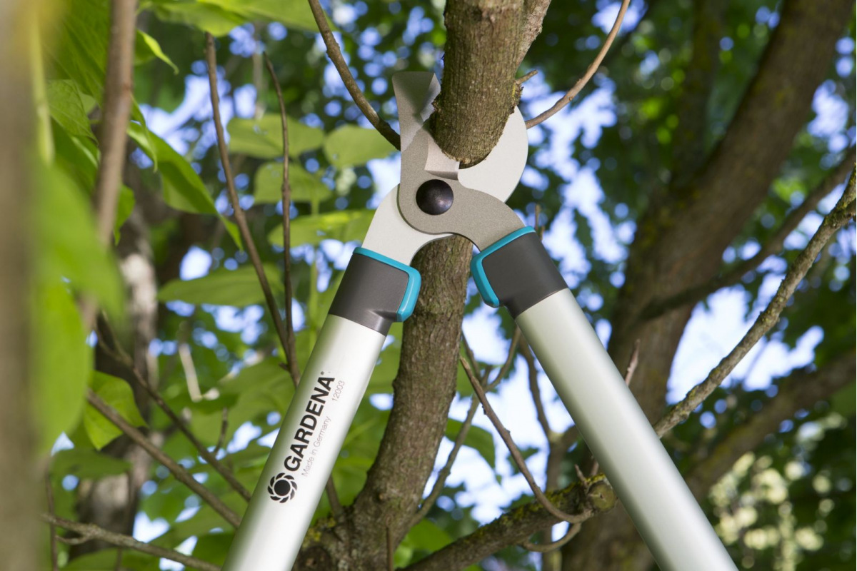 Изображение загружено обработкой