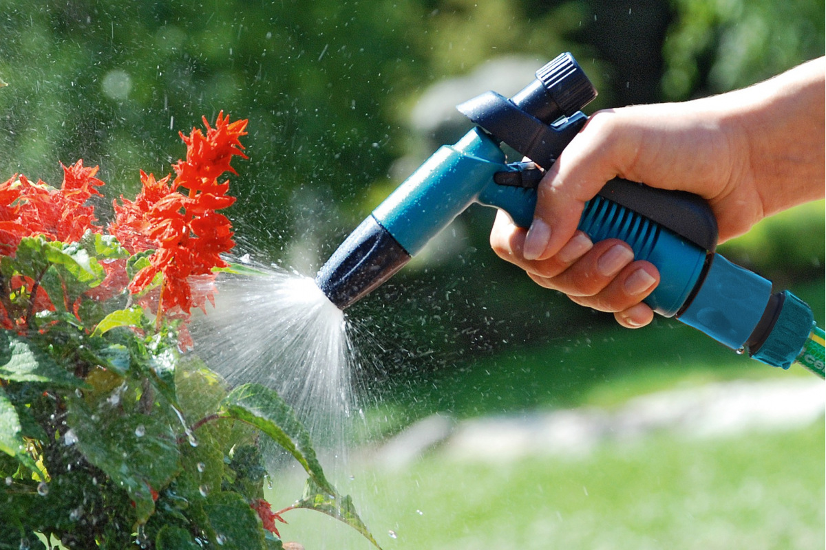 Изображение загружено обработкой