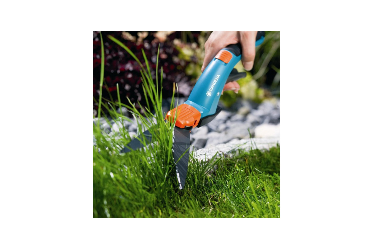 Изображение загружено обработкой