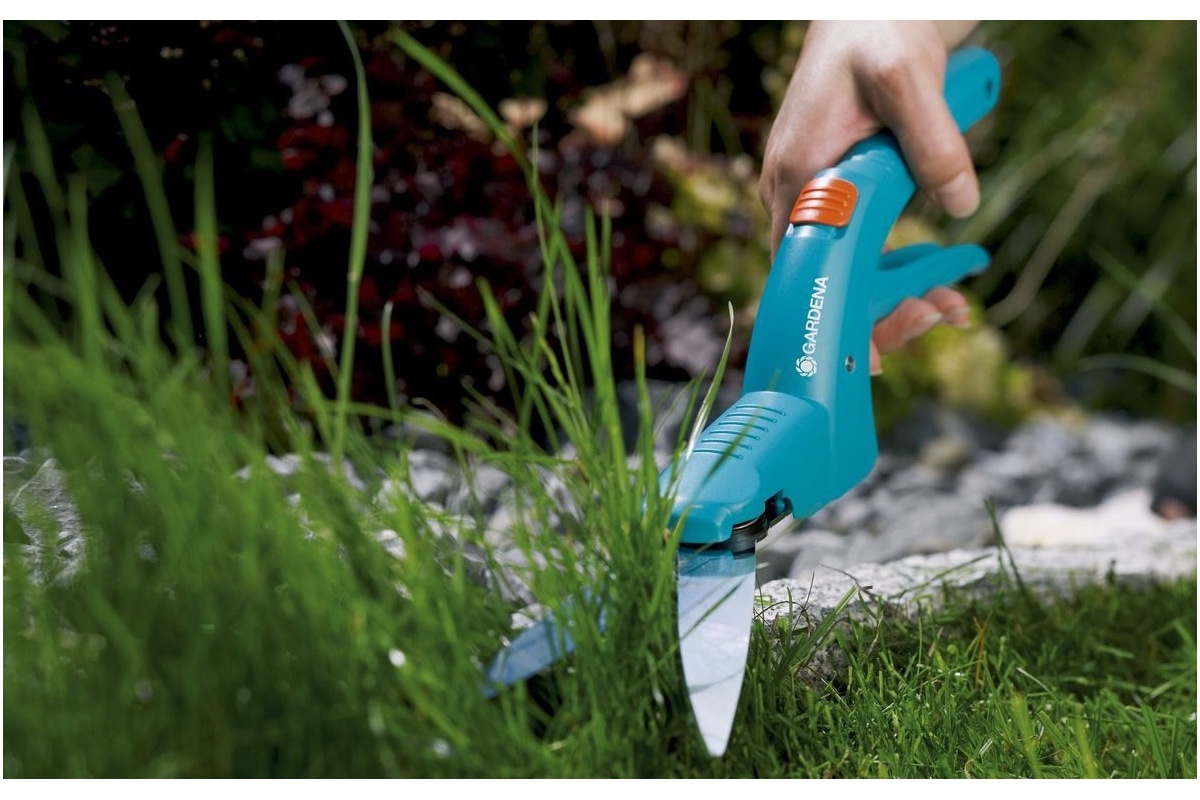 Изображение загружено обработкой