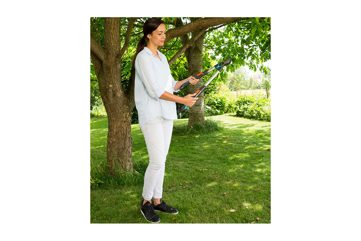 Изображение загружено обработкой