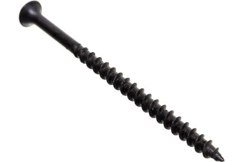 54169561