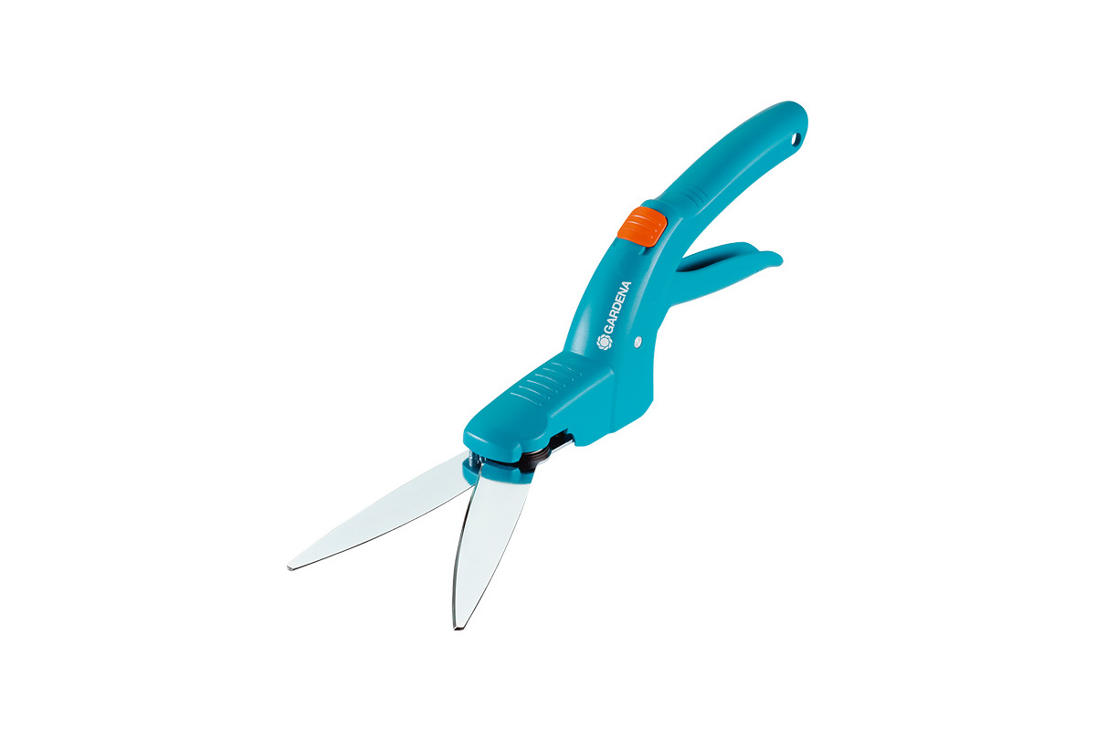 Изображение загружено обработкой