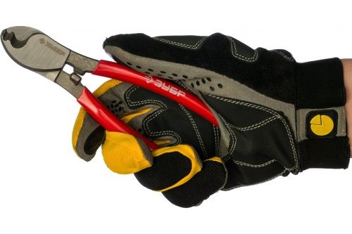 Изображение загружено обработкой