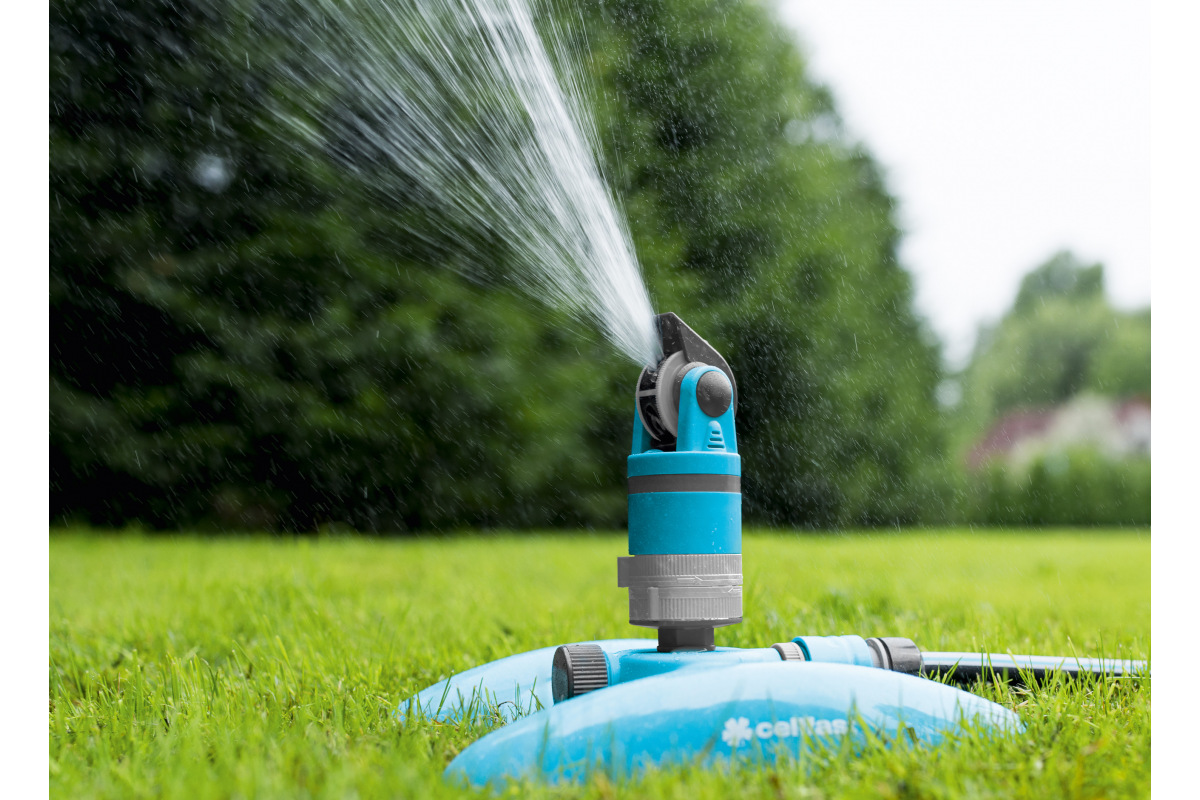 Изображение загружено обработкой