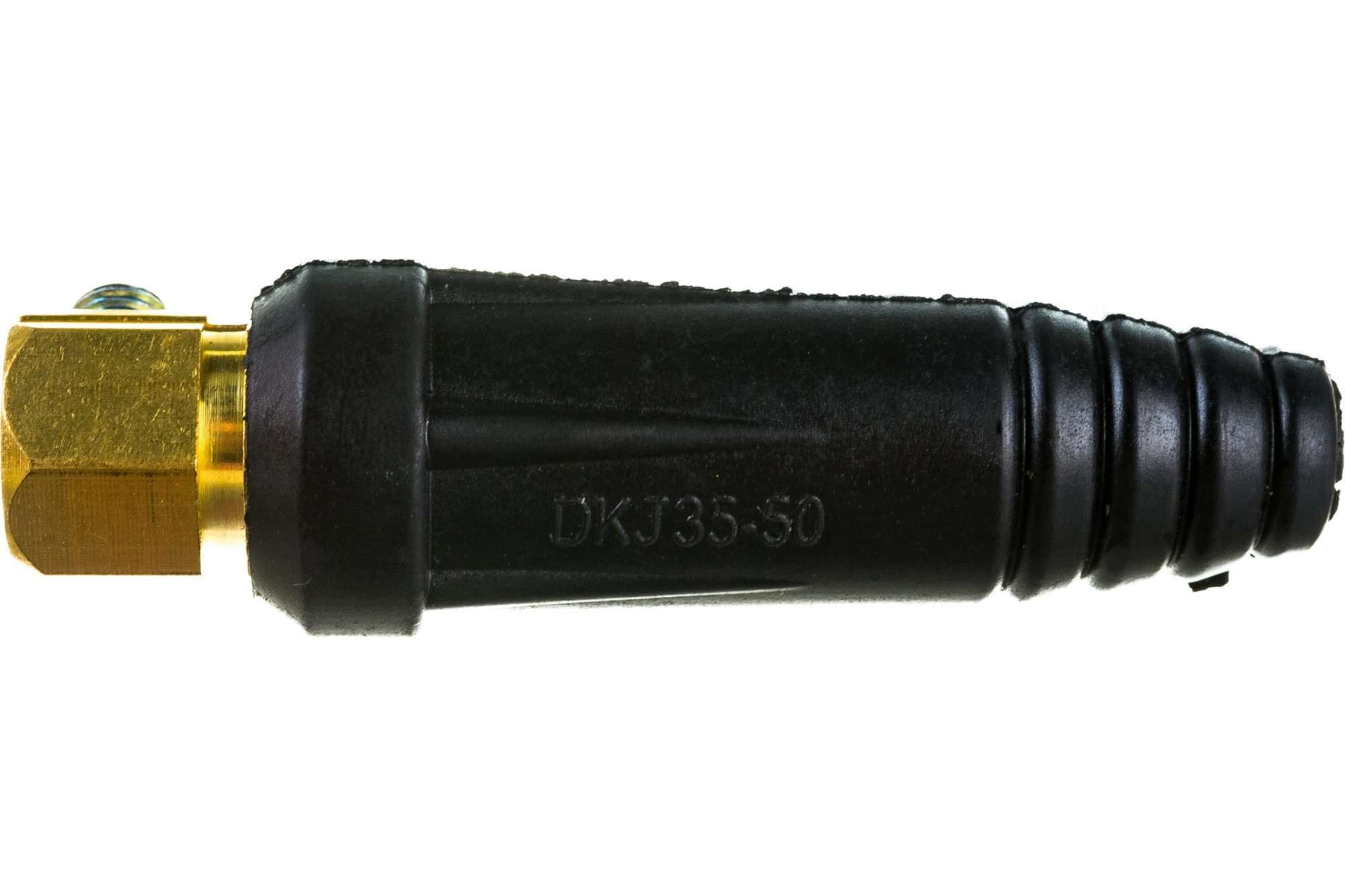 59562204